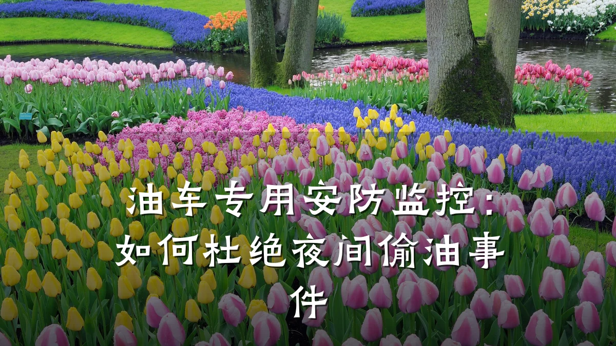 油车专用安防监控:如何杜绝夜间偷油事件
