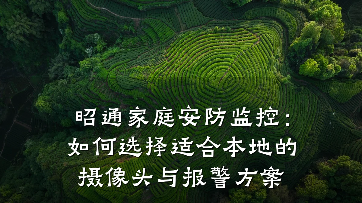 昭通家庭安防监控:如何选择适合本地的摄像头与报警方案