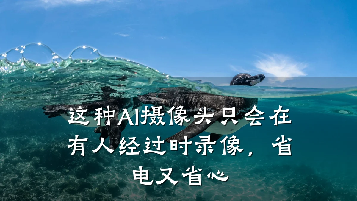 这种AI摄像头只会在有人经过时录像,省电又省心