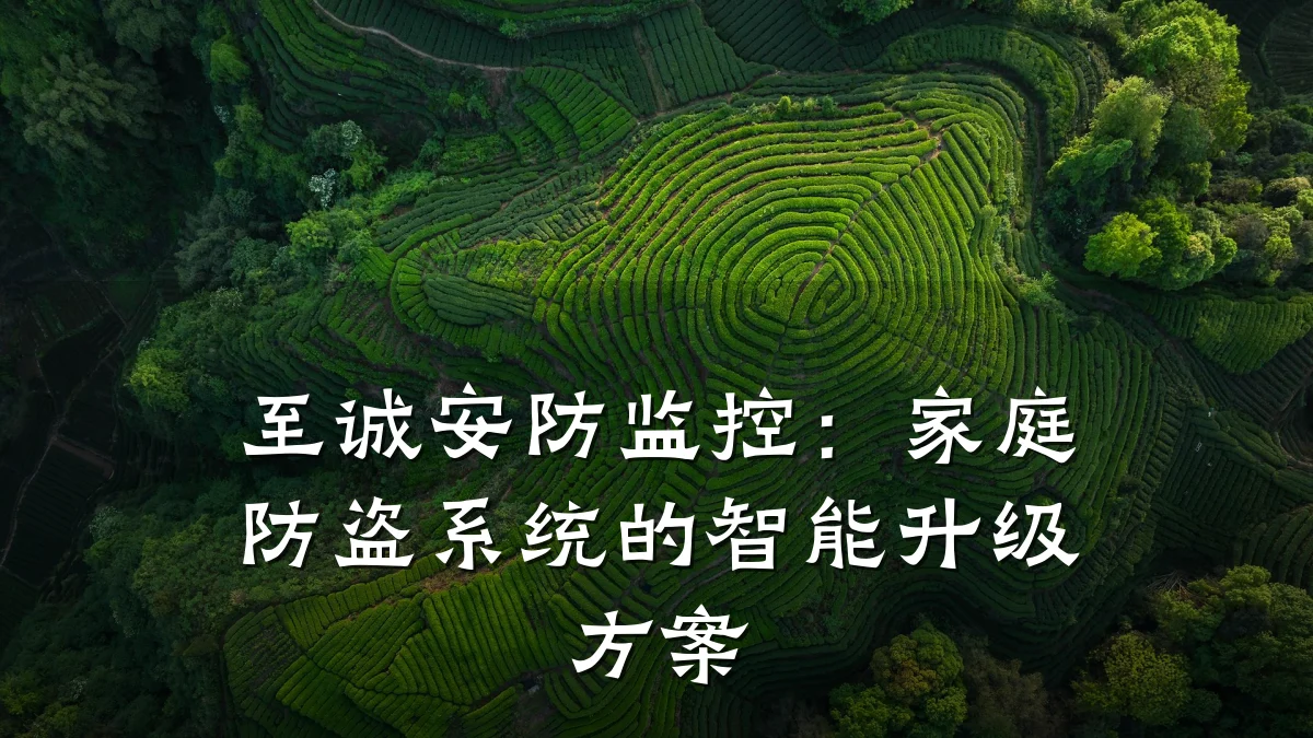 至诚安防监控:家庭防盗系统的智能升级方案