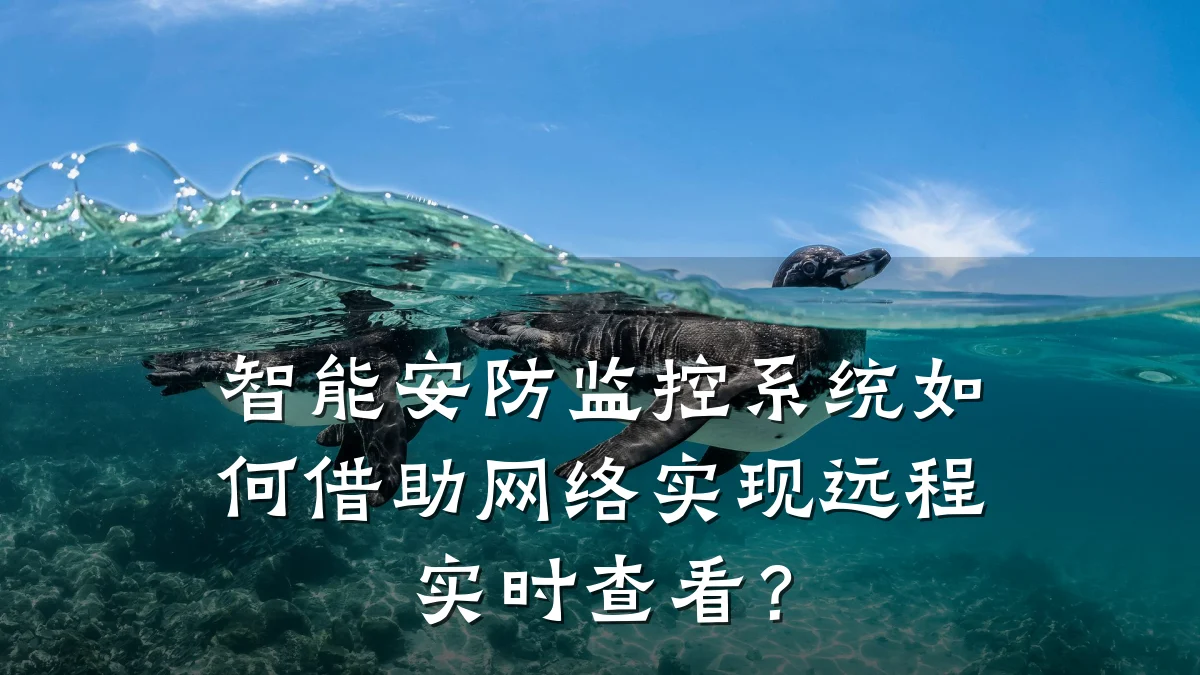智能安防监控系统如何借助网络实现远程实时查看?