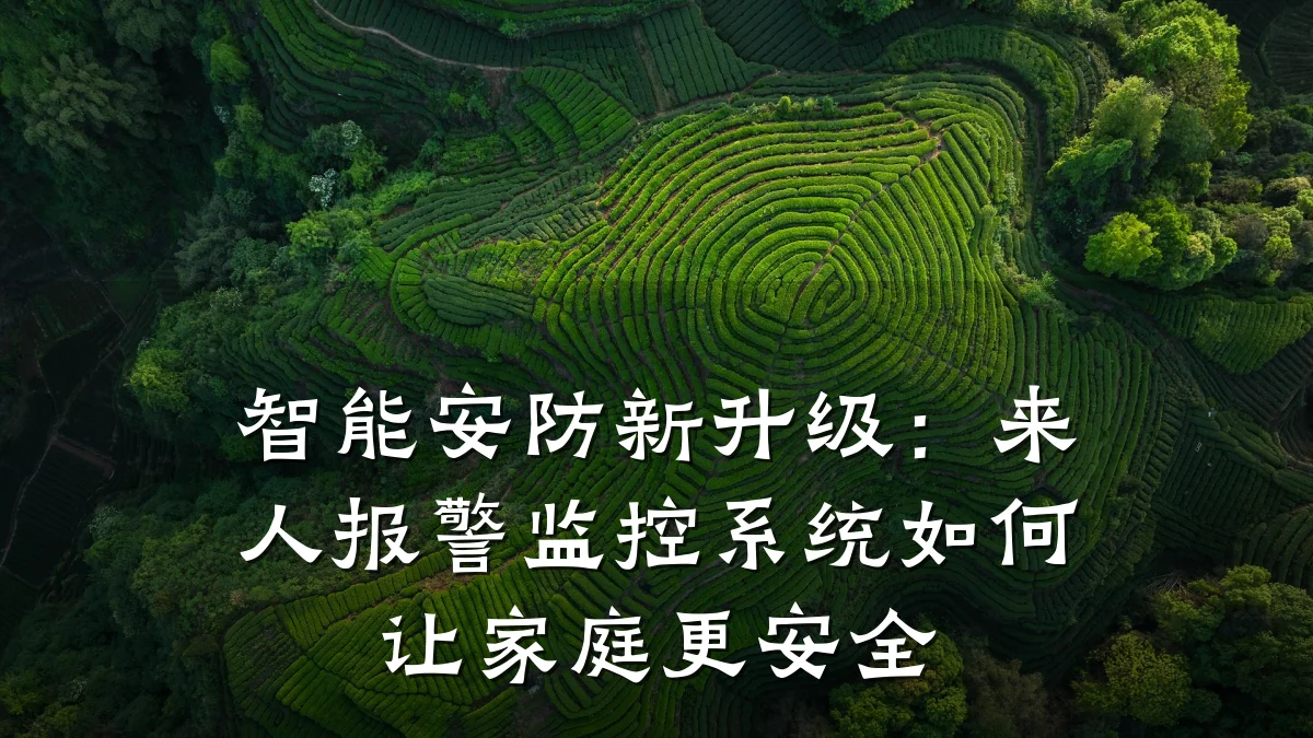 智能安防新升级:来人报警监控系统如何让家庭更安全