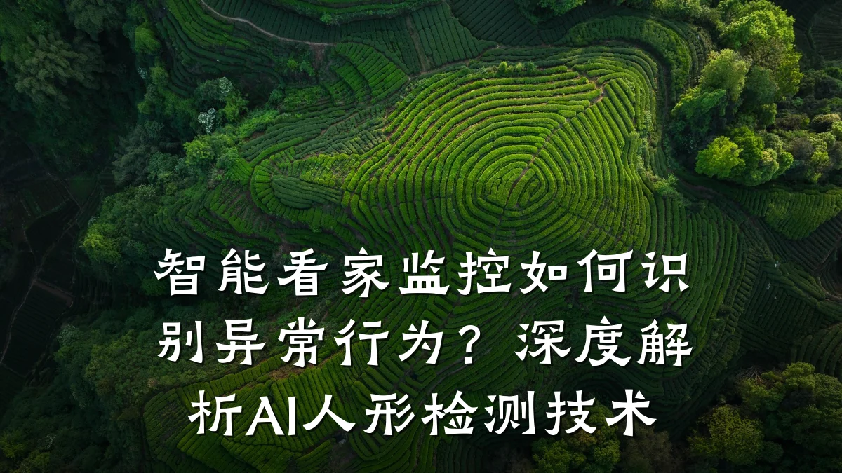智能看家监控如何识别异常行为?深度解析AI人形检测技术