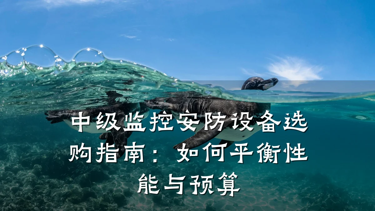 中级监控安防设备选购指南:如何平衡性能与预算