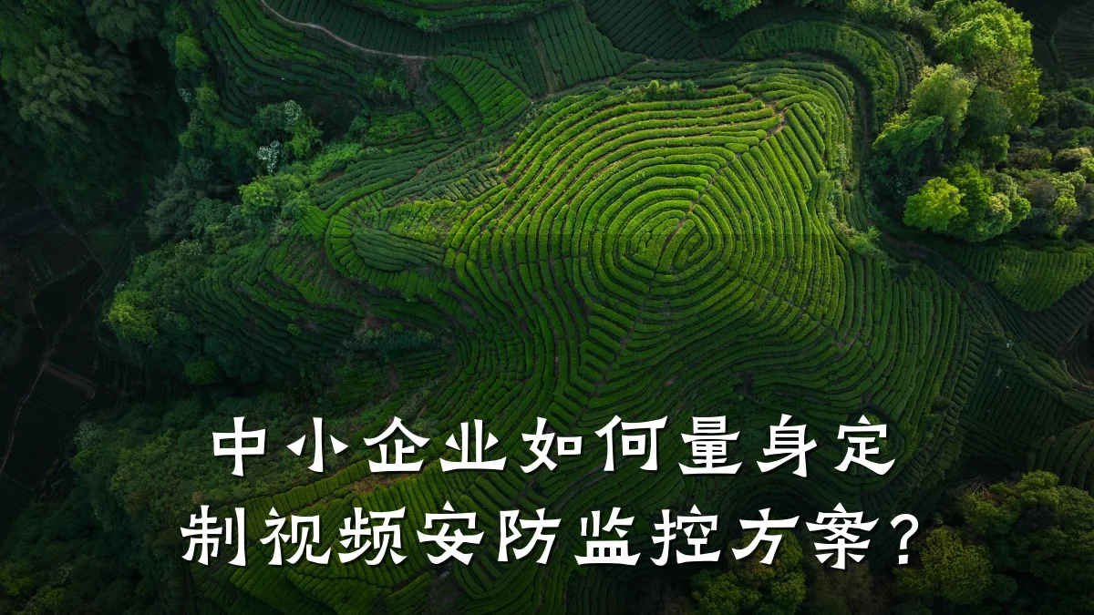 中小企业如何量身定制视频安防监控方案?