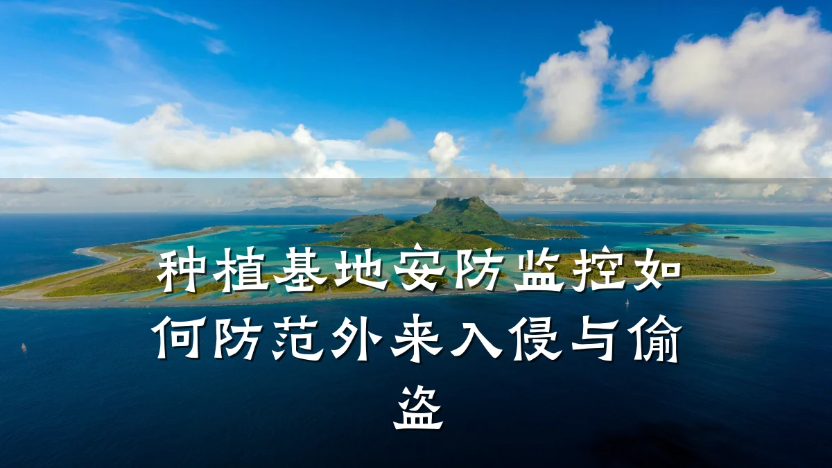 种植基地安防监控如何防范外来入侵与偷盗