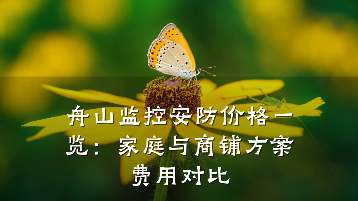舟山监控安防价格一览:家庭与商铺方案费用对比