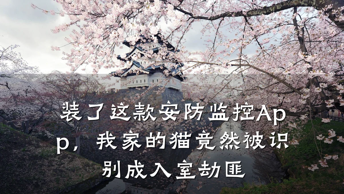 装了这款安防监控App,我家的猫竟然被识别成入室劫匪