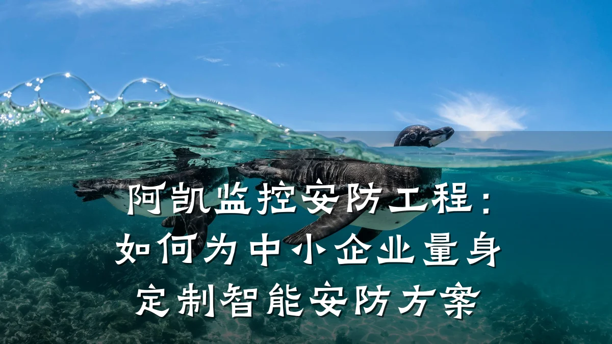 阿凯监控安防工程:如何为中小企业量身定制智能安防方案