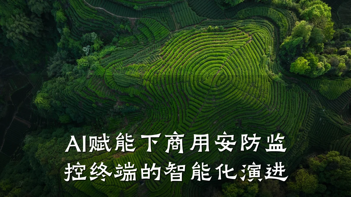 AI赋能下商用安防监控终端的智能化演进