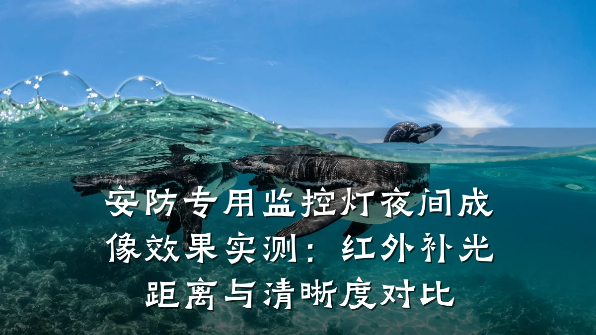 安防专用监控灯夜间成像效果实测:红外补光距离与清晰度对比