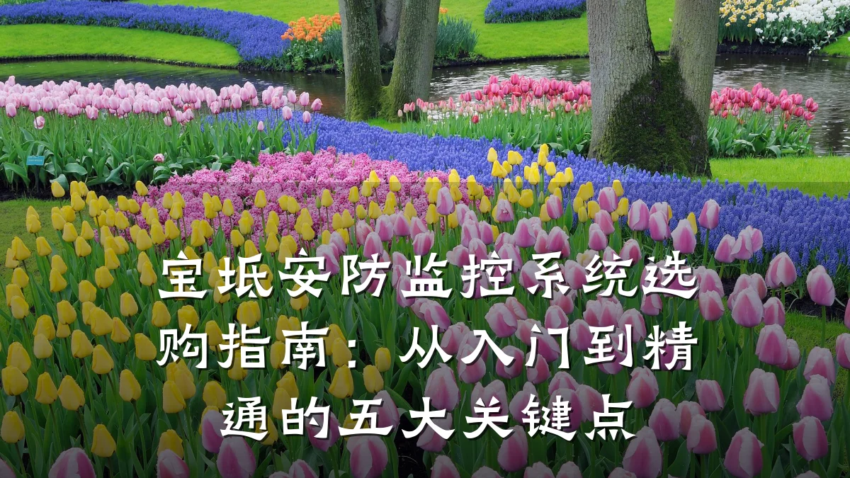 宝坻安防监控系统选购指南:从入门到精通的五大关键点