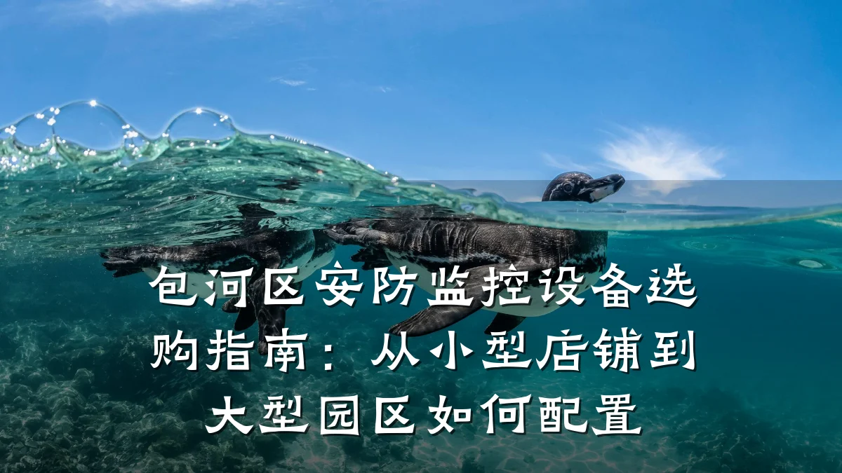 包河区安防监控设备选购指南:从小型店铺到大型园区如何配置