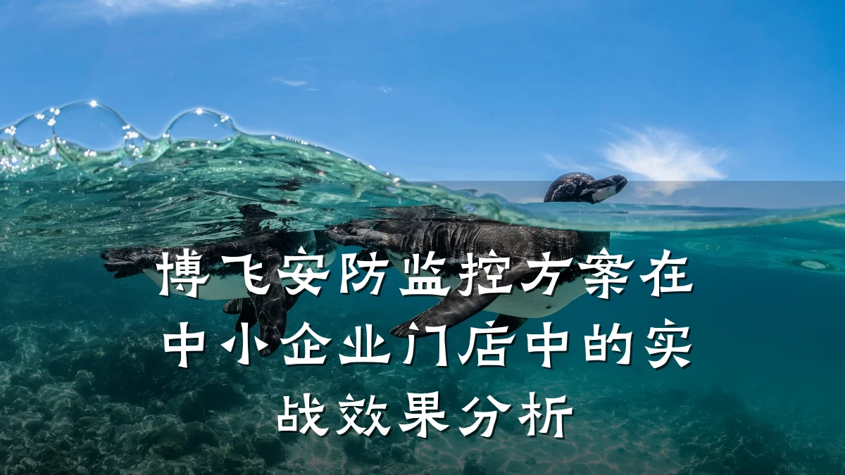 博飞安防监控方案在中小企业门店中的实战效果分析