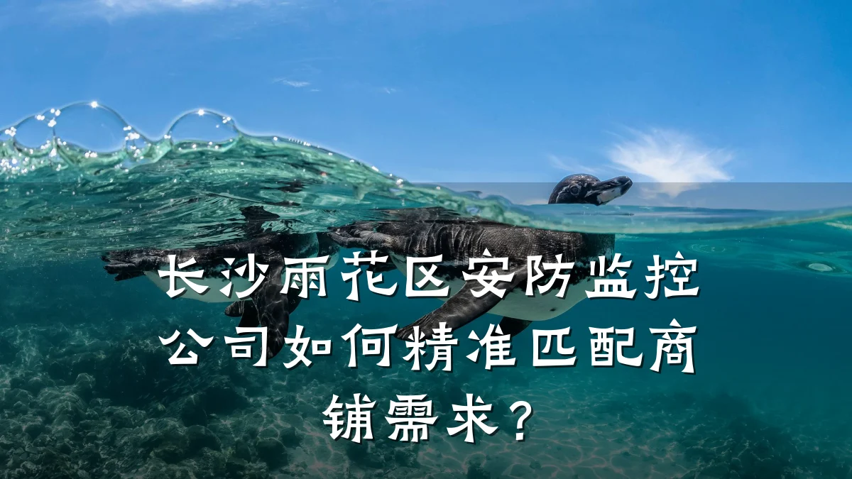 长沙雨花区安防监控公司如何精准匹配商铺需求?