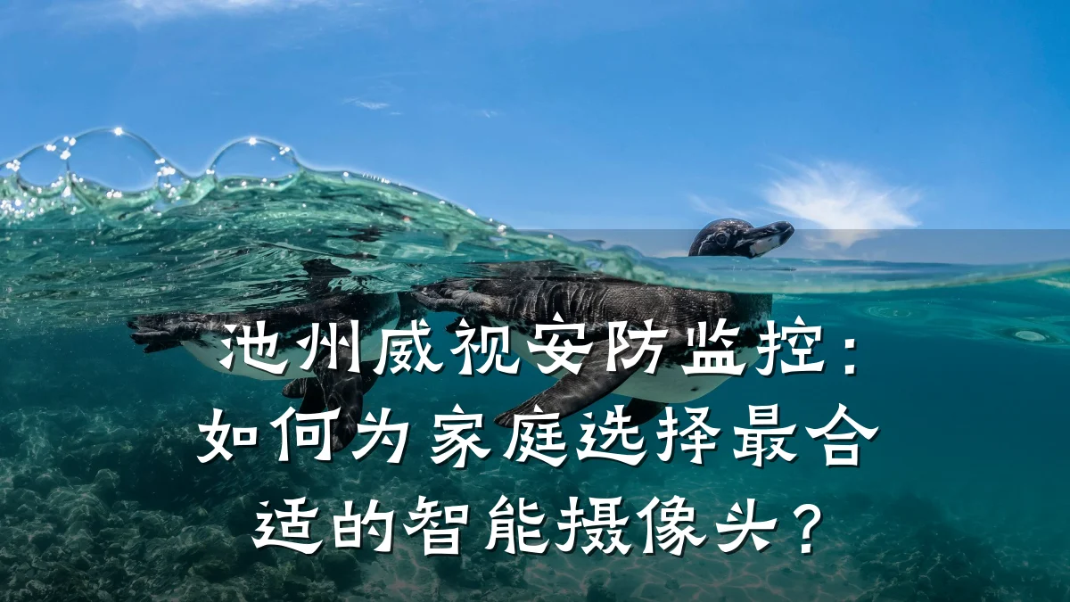 池州威视安防监控:如何为家庭选择最合适的智能摄像头?