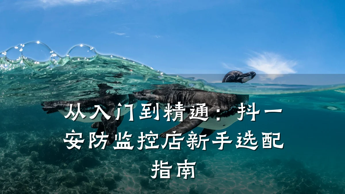 从入门到精通:抖一安防监控店新手选配指南