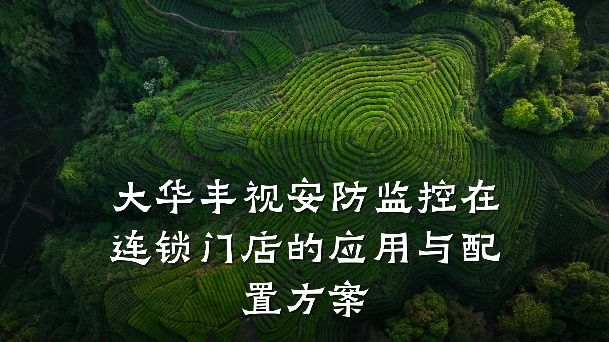 大华丰视安防监控在连锁门店的应用与配置方案