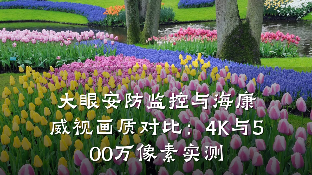 大眼安防监控与海康威视画质对比:4K与500万像素实测