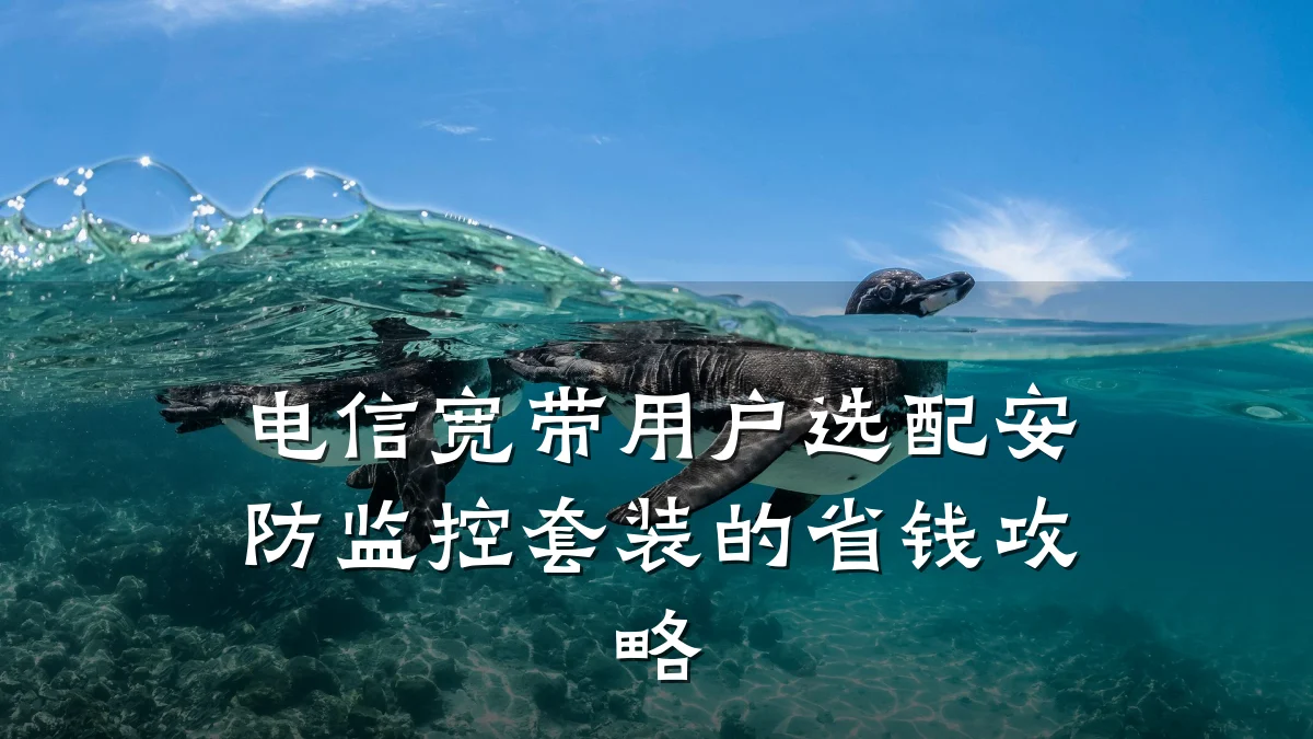电信宽带用户选配安防监控套装的省钱攻略