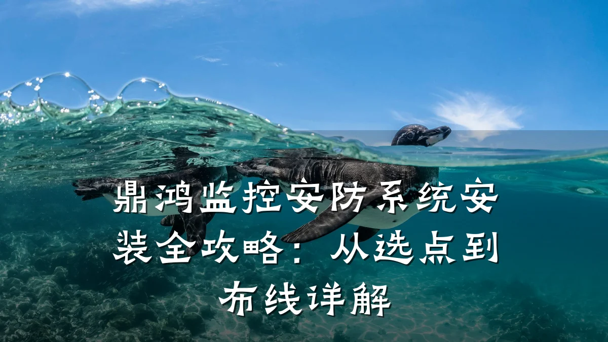 鼎鸿监控安防系统安装全攻略:从选点到布线详解