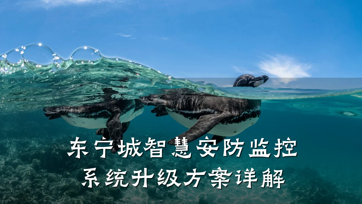 东宁城智慧安防监控系统升级方案详解