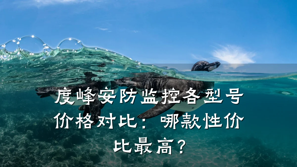 度峰安防监控各型号价格对比:哪款性价比最高?