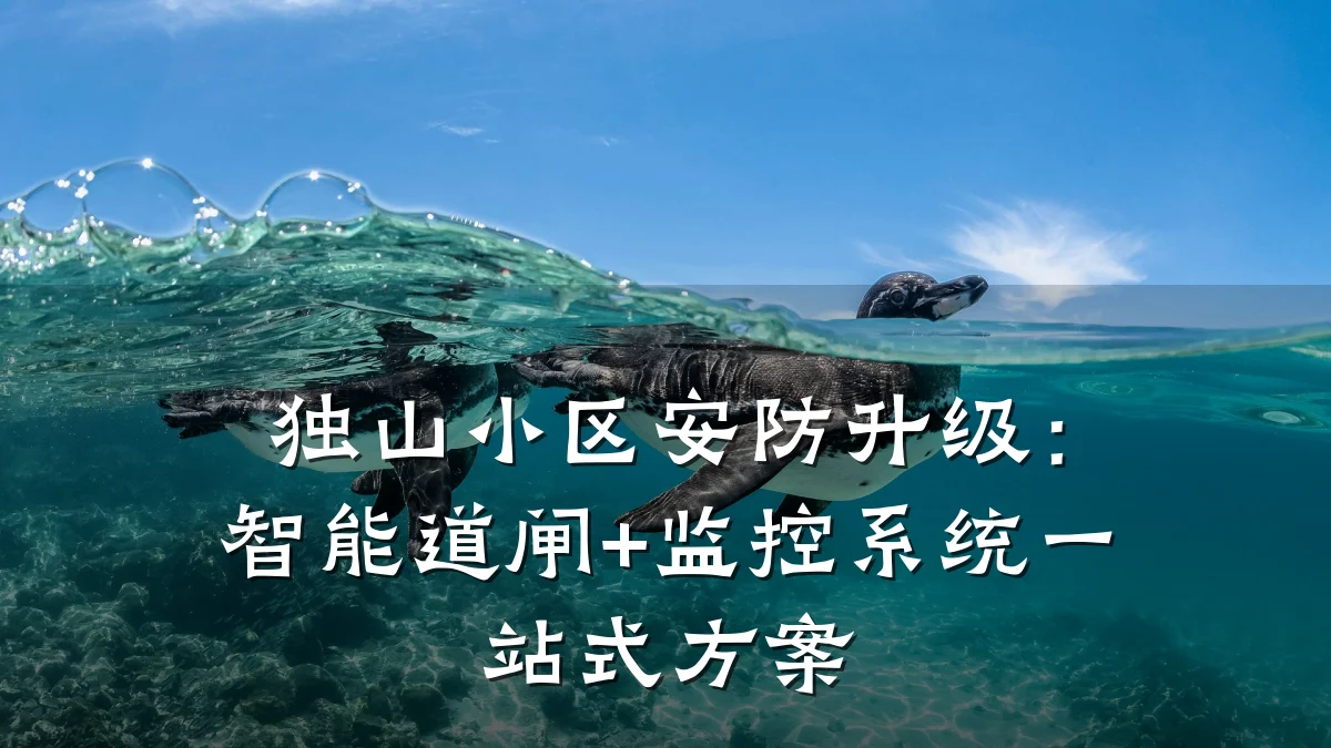 独山小区安防升级:智能道闸+监控系统一站式方案