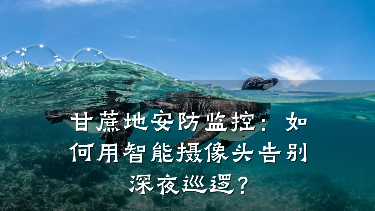 甘蔗地安防监控:如何用智能摄像头告别深夜巡逻?