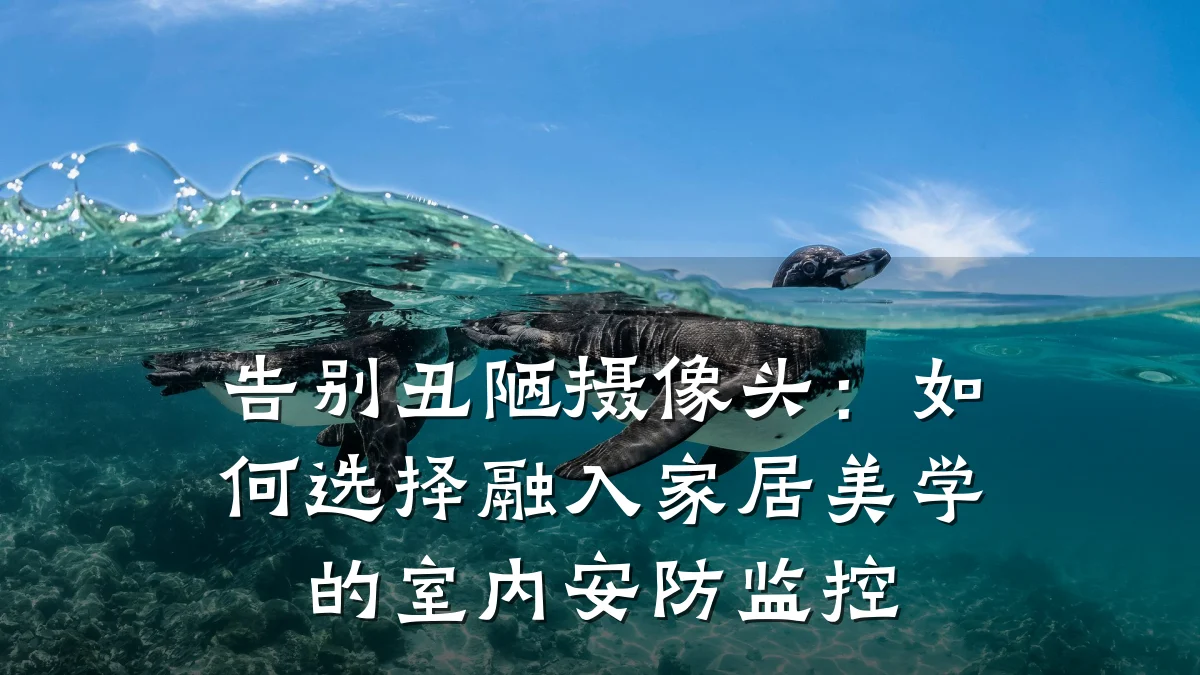 告别丑陋摄像头:如何选择融入家居美学的室内安防监控