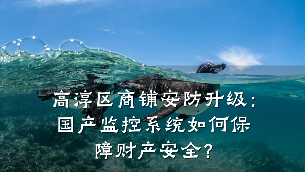 高淳区商铺安防升级:国产监控系统如何保障财产安全?