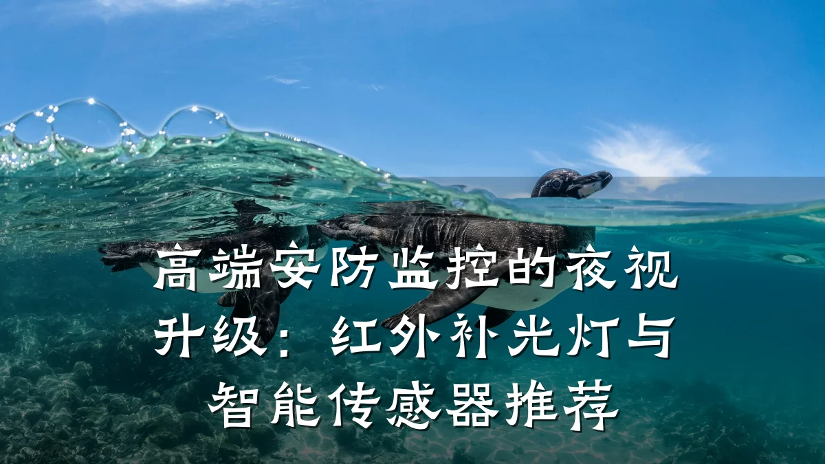 高端安防监控的夜视升级:红外补光灯与智能传感器推荐