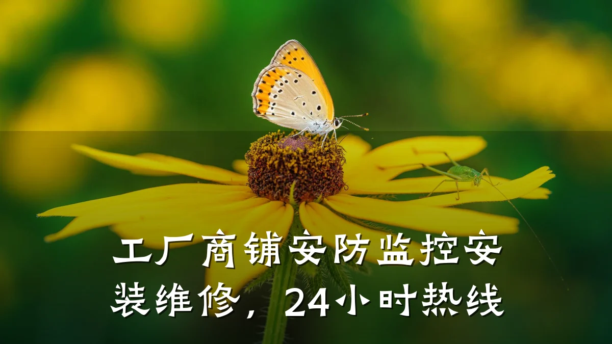 工厂商铺安防监控安装维修,24小时热线