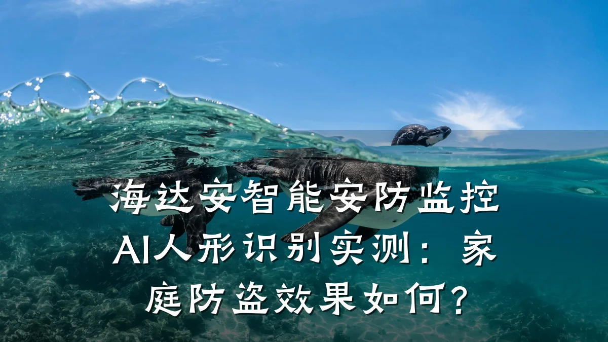海达安智能安防监控AI人形识别实测:家庭防盗效果如何?