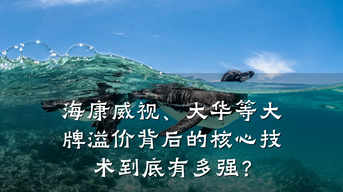 海康威视、大华等大牌溢价背后的核心技术到底有多强?