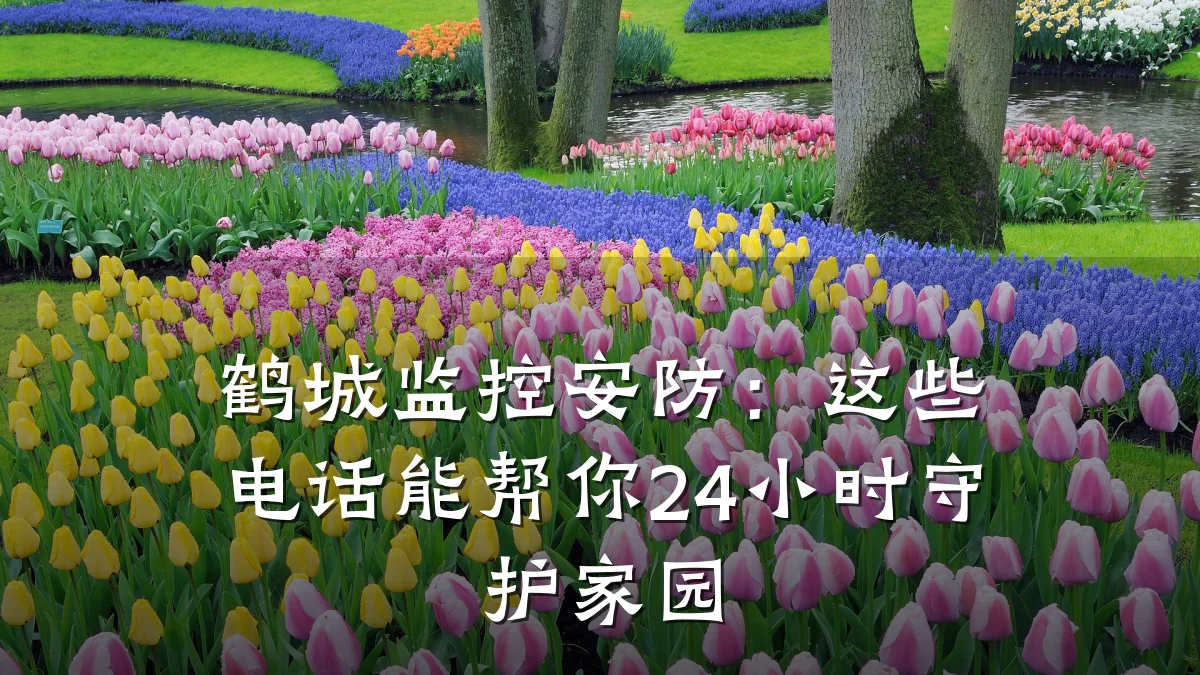 鹤城监控安防:这些电话能帮你24小时守护家园