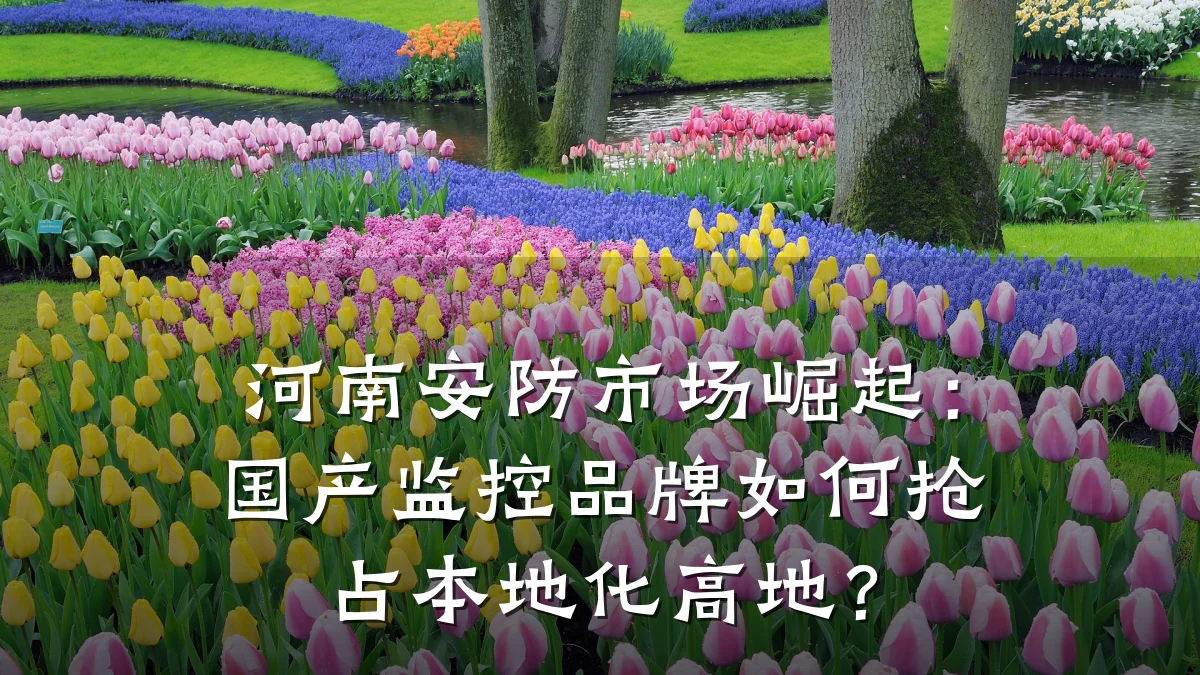 河南安防市场崛起:国产监控品牌如何抢占本地化高地?