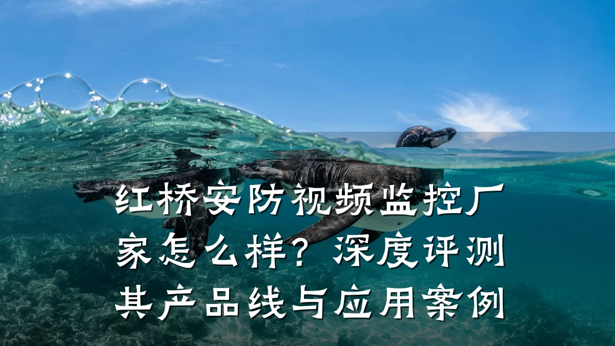 红桥安防视频监控厂家怎么样?深度评测其产品线与应用案例