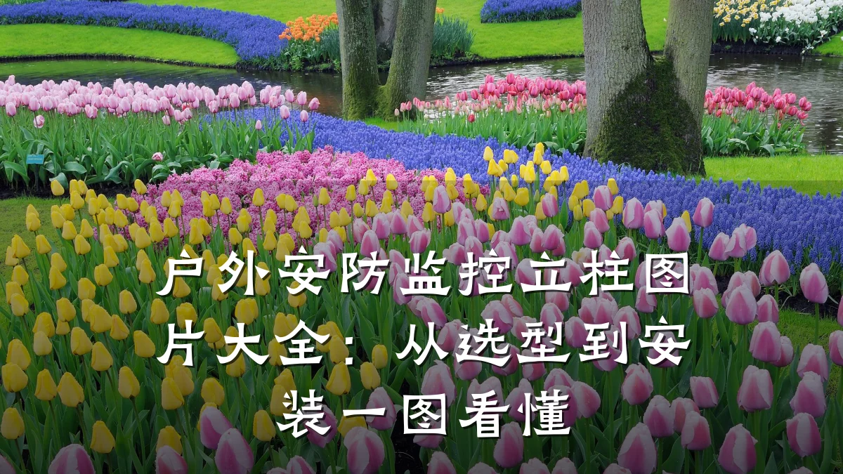 户外安防监控立柱图片大全:从选型到安装一图看懂