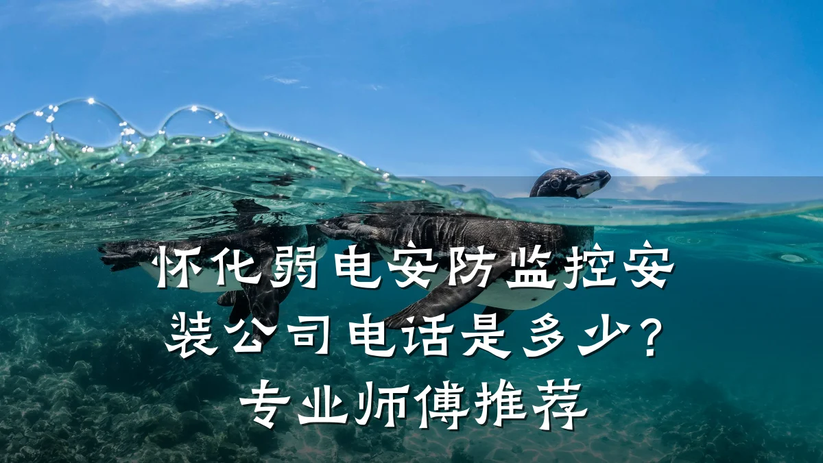 怀化弱电安防监控安装公司电话是多少?专业师傅推荐