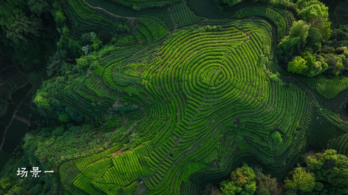 场景一