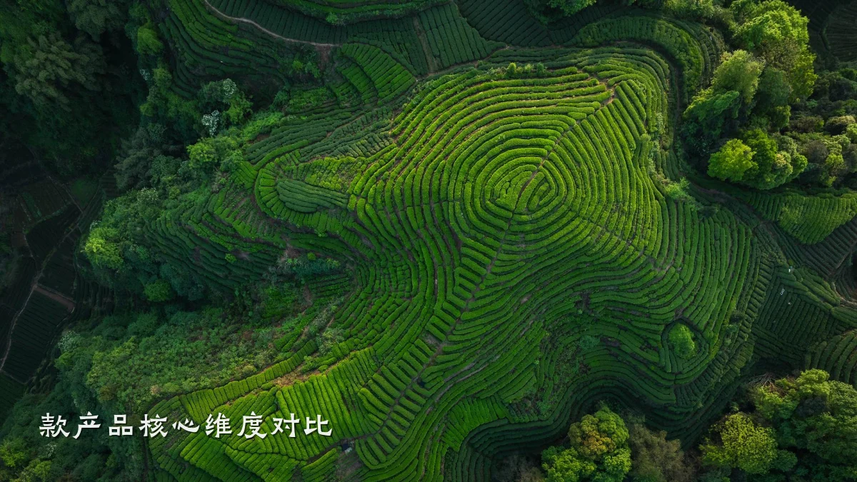 款产品核心维度对比
