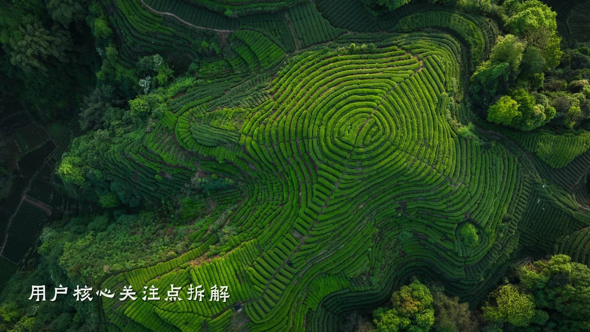 用户核心关注点拆解