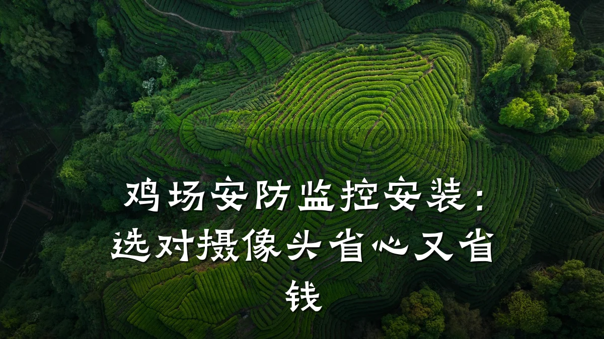 鸡场安防监控安装:选对摄像头省心又省钱