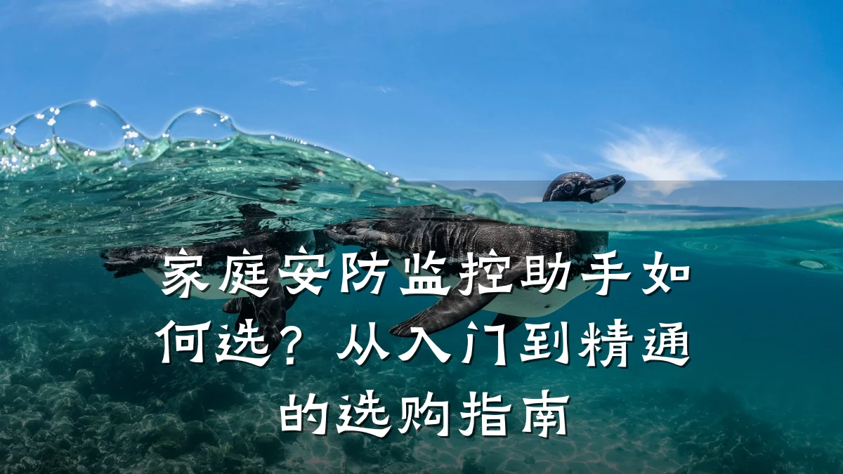 家庭安防监控助手如何选?从入门到精通的选购指南