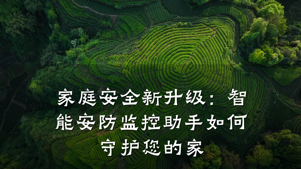 家庭安全新升级:智能安防监控助手如何守护您的家
