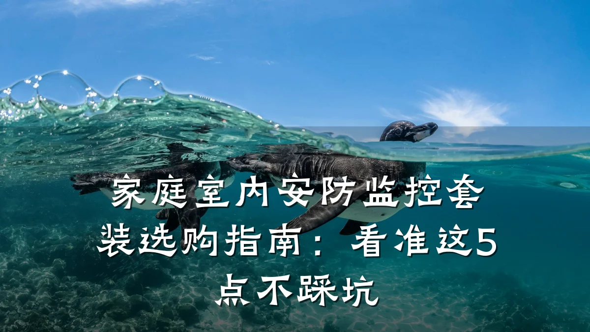家庭室内安防监控套装选购指南：看准这5点不踩坑