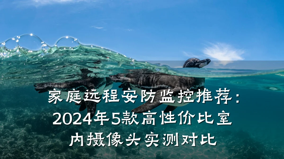 家庭远程安防监控推荐:2024年5款高性价比室内摄像头实测对比