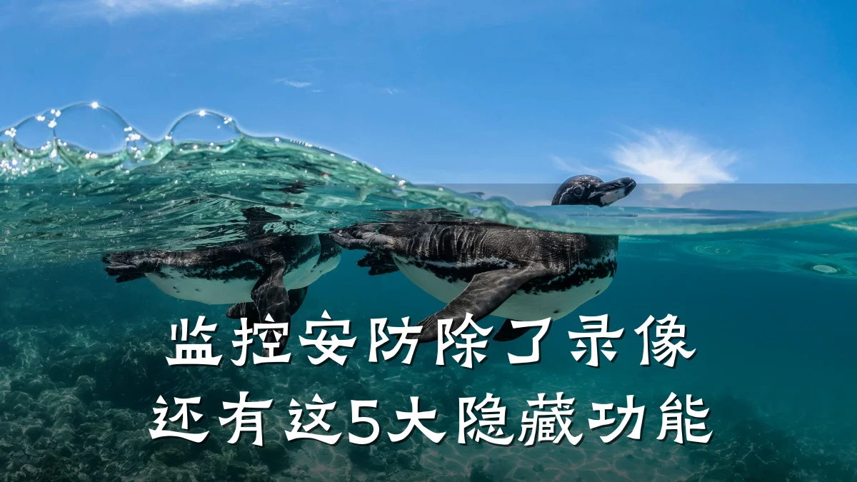 监控安防除了录像还有这5大隐藏功能