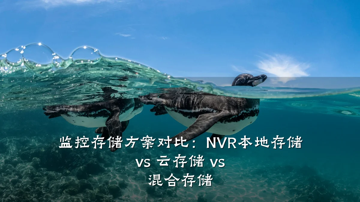 监控存储方案对比:NVR本地存储 vs 云存储 vs 混合存储